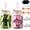 1 Gallons, variant on 2 Pack 1 Gallon Glass Fermentation Jars with Airlocks & Weights - 4.7" Wide Mouth Sauerkraut Jar Set for Brewing, Pickles, Kombucha, Kimchi - Complete Fermenting Kit for Beginners