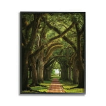 Stupell Industries Shadowed Tree Grove Landscape Photography Black Framed Art Print Wall Art, 11 x 14