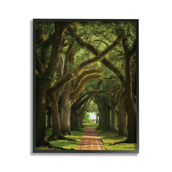 Stupell Industries Shadowed Tree Grove Landscape Photography Black Framed Art Print Wall Art, 11 x 14