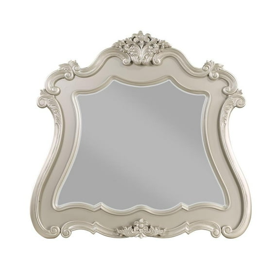 Acme Furniture Bently Mirror, Champagne Finsih