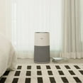 thumbnail image 4 of Winix C610 4-Stage Air Purifier with WIFI and PlasmaWave Technology, 4 of 8