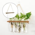 thumbnail image 3 of GUOOL Clear Hanging Vase Flower Plant Terrarium Glass Home Hydroponic Test Tube 1 1 Layer 4 Tube, 3 of 9