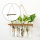 thumbnail image 1 of Jardinera colgante de pared, estaciones de propagación de plantas, terrario de plantas con soporte de , maceta de , jarrón de tubo de 1 tubo de Macarena Jarrón hidropónico colgante, 1 of 8