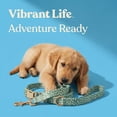 thumbnail image 4 of Vibrant Life 6' Fashion Leash, Blue Grid, L, 4 of 9