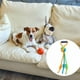thumbnail image 1 of Juguete de cuerda para perros, juguete para masticar para perros pequeños y medianos, suministros para mascotas, entrenamiento, juego, mordida, juego, 1 of 8