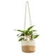 thumbnail image 2 of Xihbxyly Ofertas Del Prime Day Liquidación Solo Por Hoy Cesta Colgante para Plantas de Macramé, para Interior y Exterior, con Cuerda de Algodón, 2 of 5