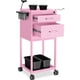 thumbnail image 1 of Carrito rodante Salon TASALON con 2 cuencos magnéticos de metal rosa, 1 of 7