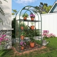 thumbnail image 5 of GAZEBETER Small Greenhouse 4-Tier,40 x 18 x 63'' Mini Greenhouse for Indoor Outdoor,Portable Plastic Plant Green House Mini with Roll-up Zipper Door,Clear, 5 of 9
