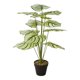 thumbnail image 1 of Plantas artificiales, vegetación, bonsái, plantas pequeñas, decoración, escritorio, exhibición, planta en maceta Estilo B, 1 of 9