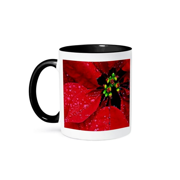 3dRose, Red Poinsettia With Dew Closeup, 11oz Two-Tone Black Mug
