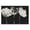 Monochrome Tulips Trio, variant on Stupell Industries Transitional Beauty of the Red Blossom Black Floating Frame Canvas Art, 25 x 17, by Lanie Loreth