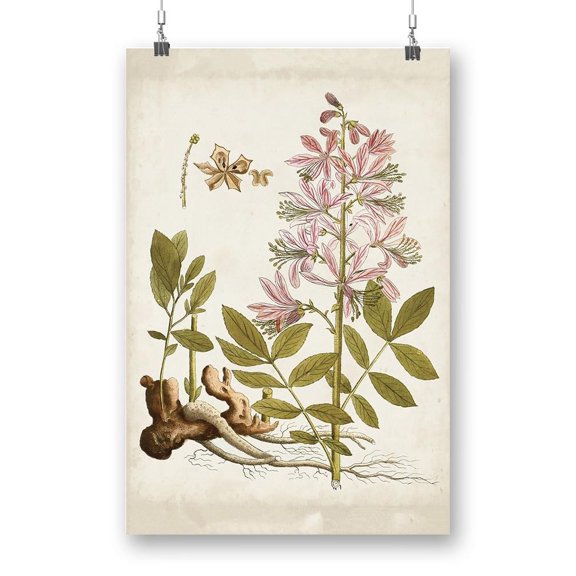 Vintage Charm Ii Poster - Vision Studio Designs,