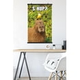 thumbnail image 4 of Capybara - S' Hup Wall Poster, 22.375" x 34", 4 of 5