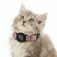 thumbnail image 1 of Collar para Gato Unique Bargains para Airtag, Collar Localizador Ajustable Diseñado para Air Tag, Ligero y Resistente a Rasguños para Gatos y Gatitos, Rosa, 1 Pc, 1 of 6