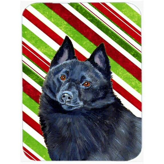 Schipperke Candy Cane Holiday Christmas Glass Cutting Board - Large, 15 H x 12 L in.
