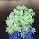 thumbnail image 1 of 50 pegatinas 3D para pared que brillan en la oscuridad, pegatinas de estrellas para dormitorio de bebé y niño (verde) NikouMX Muebles, 1 of 8