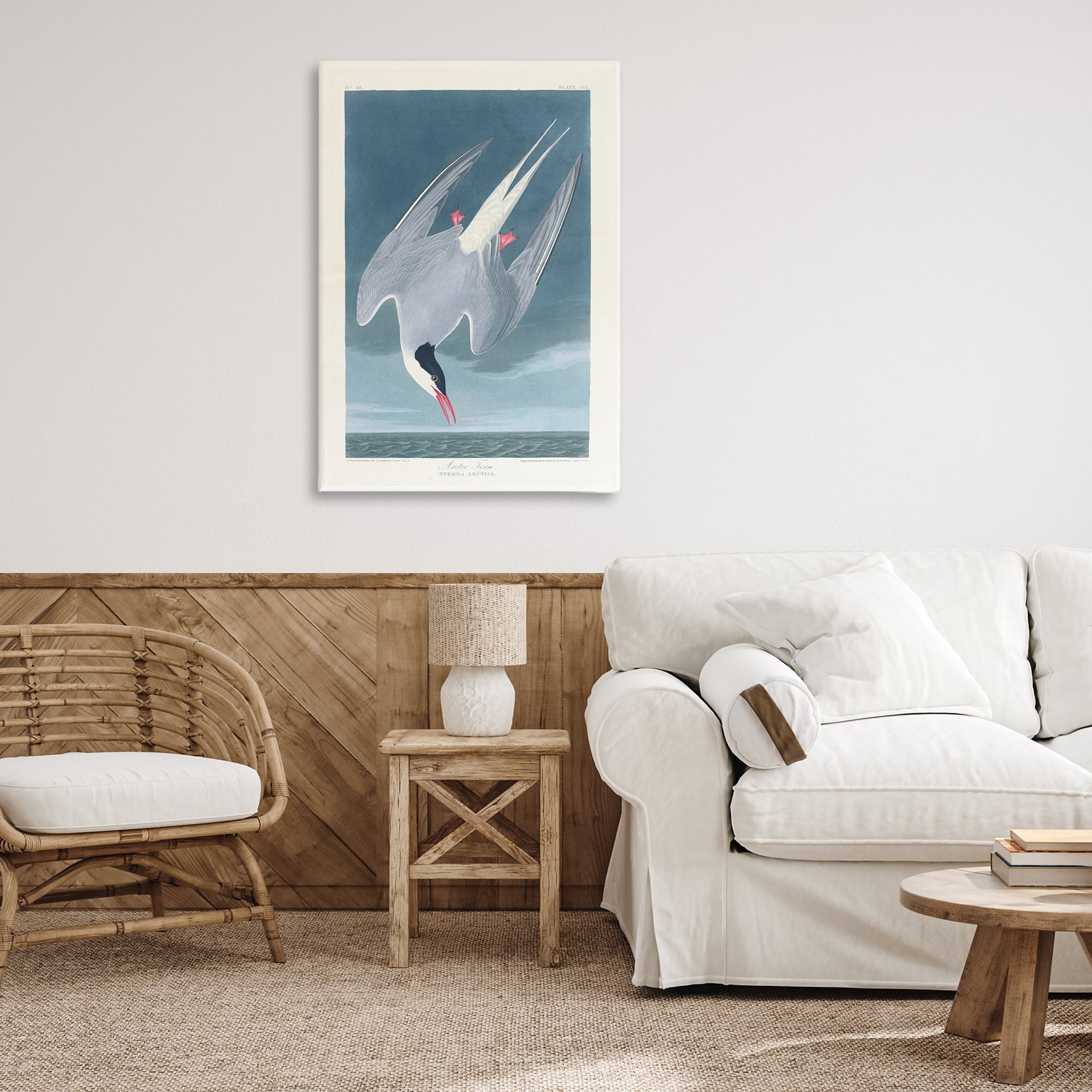 Stupell Industries Classic Arctic Tern Bird Animals Painting Wrapped Canvas Art Print Wall Art, 24 x 36