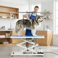 thumbnail image 5 of Toyandona Professional Electric Lift Table with Storage Drawer and Hooks, 5 of 14