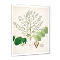 thumbnail image 2 of Designart 'Ancient Botanicals XVI' Farmhouse Framed Art Print, 2 of 4