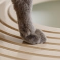 thumbnail image 3 of Arenero para Gatos IRIS USA Blanco Beige con Entrada Superior y Pala, 3 of 7
