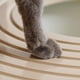 thumbnail image 3 of Arenero para Gatos IRIS USA Blanco Beige con Entrada Superior y Pala, 3 of 7