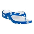 thumbnail image 1 of Sandales de Plage Dawgs pour Tout-Petits Fleur de Lis Taille 10, 1 of 1