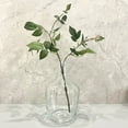 Chic Vintage Clear Glass Large Floor Jug Vase for Home Decor and