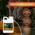 thumbnail image 2 of Yield Titan's 100% Pure Cold Pressed Concentrated Neem Oil for Indoor and Outdoor Plants and Vegetable (16OZ), 2 of 6