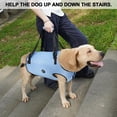 thumbnail image 2 of Arnés Elevador para Perros Coodeo Soporte de Rehabilitación para Mascotas XS, 2 of 6