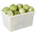 thumbnail image 2 of Rubbermaid Caja de almacenamiento de alimentos para restaurante, cocina, cafetería, 21.5 galones, blanco, 2 of 2
