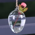 thumbnail image 1 of Contenedor hidropónico, macetero para plantas colgantes, florero para plantas colgantes, florero de cristal hecho a mano con cuidado Jadeshay A, 1 of 8