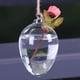 thumbnail image 4 of Plantas colgantes macetero de plantas ANGGREK florero pared hidropónico, 4 of 8