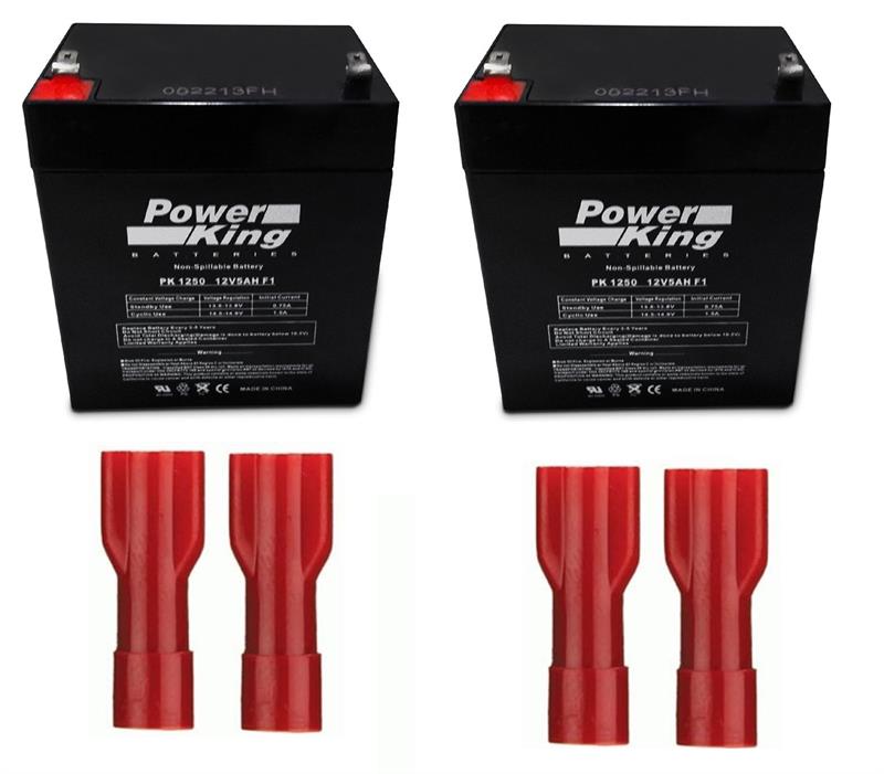 41B591 Battery Replacement for BBU (Includes 2 Batteries Terminals and