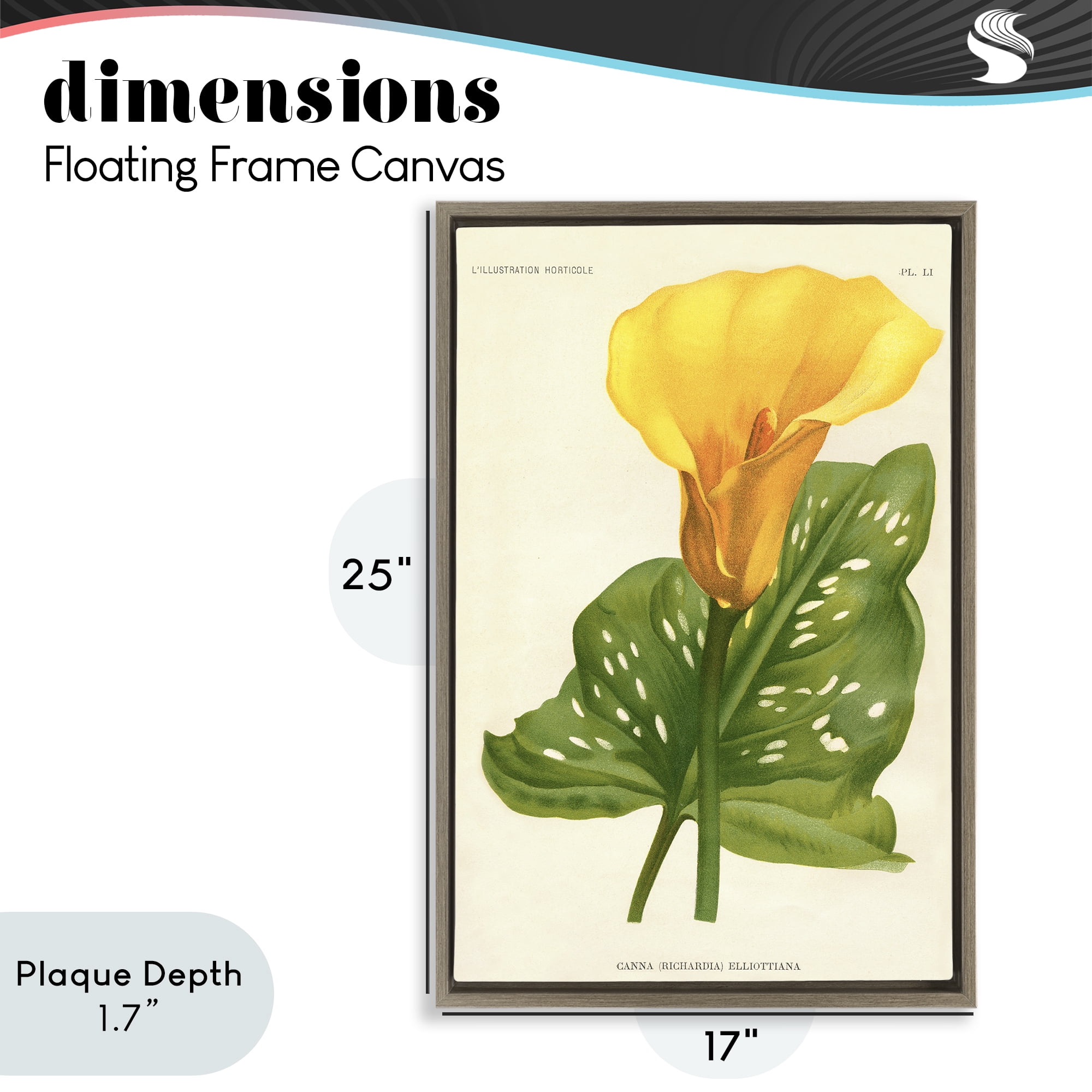 Stupell Industries Yellow Canna Lily Brown Framed Floater Canvas Wall Art, design by Print Collection