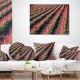 thumbnail image 3 of Designart Beautiful Field of Red Tulip Flowers - Landscape Printed Throw Pillow - 18x18, 3 of 4