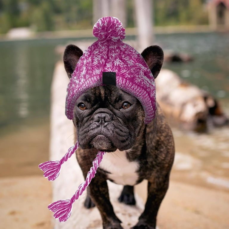 Winter hats hot sale for small dogs