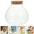2pcs Sealed Clear Terrarium Glass Bottle Microlandscape Glass Jar