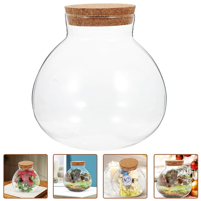 IFANLANDOR 2Set Globe Terrarium Jar Cork Modern Spherical Storage Unit