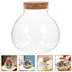 thumbnail image 3 of ColoMX Botella de vidrio de terrario transparente de 2 piezas Microlandscape Jar de vidrio Ecológico Botella ecológica, 3 of 7