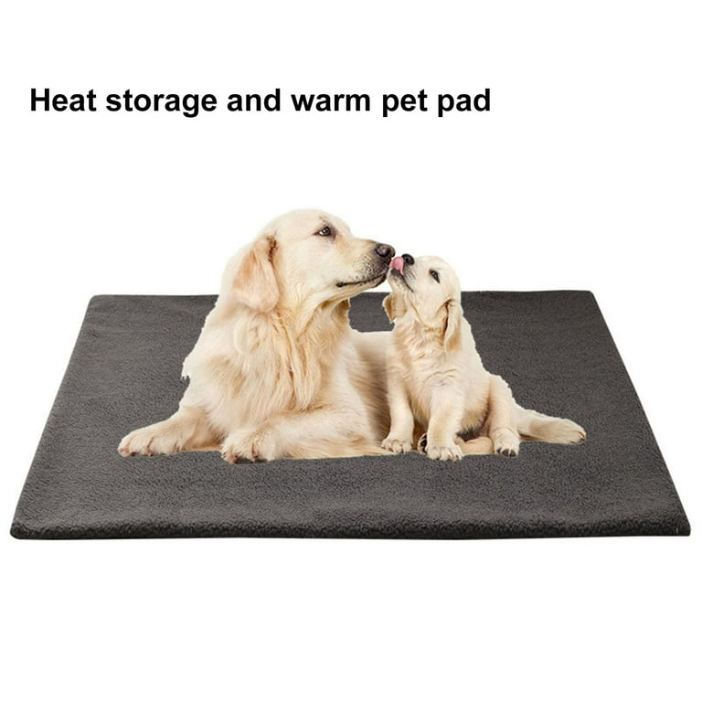 Warm and sale cozy heatable dog