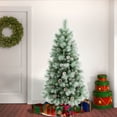 thumbnail image 2 of National Tree Company Artificial Christmas Tree, Green, Perry Hard Needle Mixed Pine, White Spayed Tips, Pine Cones, Includes Stand, 6 Feet, 2 of 3