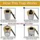 thumbnail image 2 of Trampa para ratones de alta calidad, tapa de cubo Ide, trampa para ratas, Flip N Ide, receptor de cubo desmontable, 2 of 4