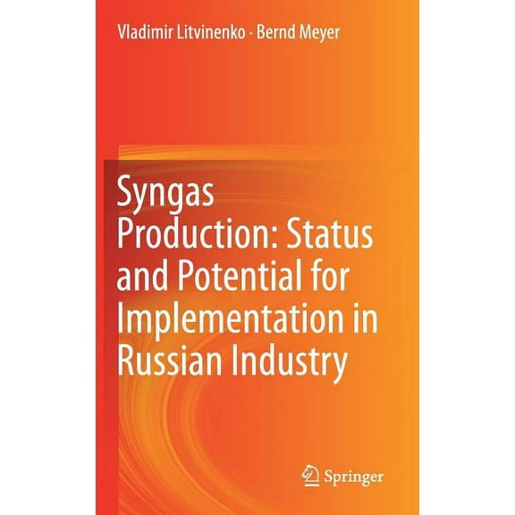 Syngas Production: Status and Potential for Implementation in Russian Industry, (Hardcover)