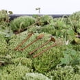 thumbnail image 1 of 4 piezas de herramientas de jardinería de miniatura, de de para 1:: 6 juguetes de decoración de jardín de muñ Hugo Pala de casa de muñecas, 1 of 8