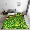 thumbnail image 5 of Salouo Cactus And Succulents Print Bed Blankets,Flannel Blanket Comfortable Air Conditioning Blanket Lightweight Blanket for Sofa Bed Travel & Couch -80"x60", 5 of 8