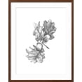 thumbnail image 2 of Art.com Oak Leaf Pencil Sketch II Art Print by Emma Caroline, Brown Frame Wall Art, 23" x 29", 2 of 5
