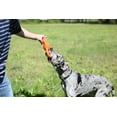 thumbnail image 5 of Infinity Pet Durable TPR Chew and Tug Rope Toy, Figure 8, Orange, 5 of 8