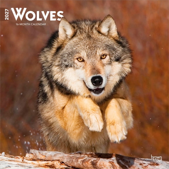 Wolves | 2027 12x24" (Hanging) Wall Calendar | Plastic-Free | BrownTrout