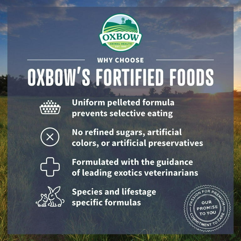 Oxbow simple 2024 harvest rabbit food