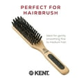 thumbnail image 3 of Kent PF06 Natural Wood Boar Bristle Brush - Straightening and Styling Brush for Short to Medium Length Hair, Travel and Smoothing Brush, 3 of 6